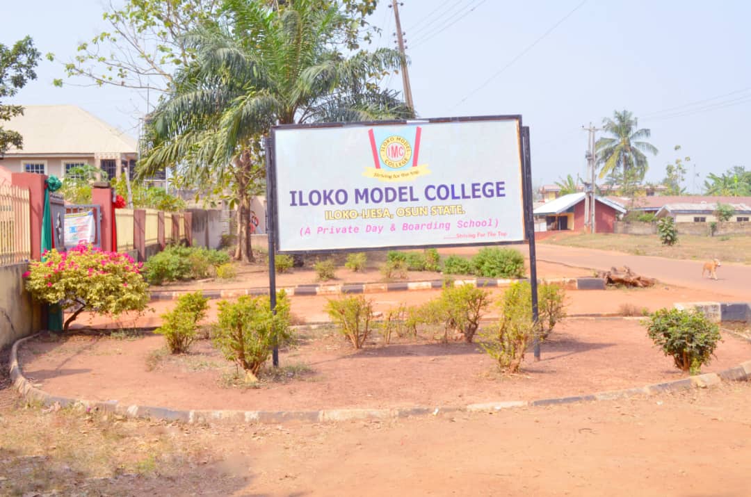 Gallery image showing academics activities